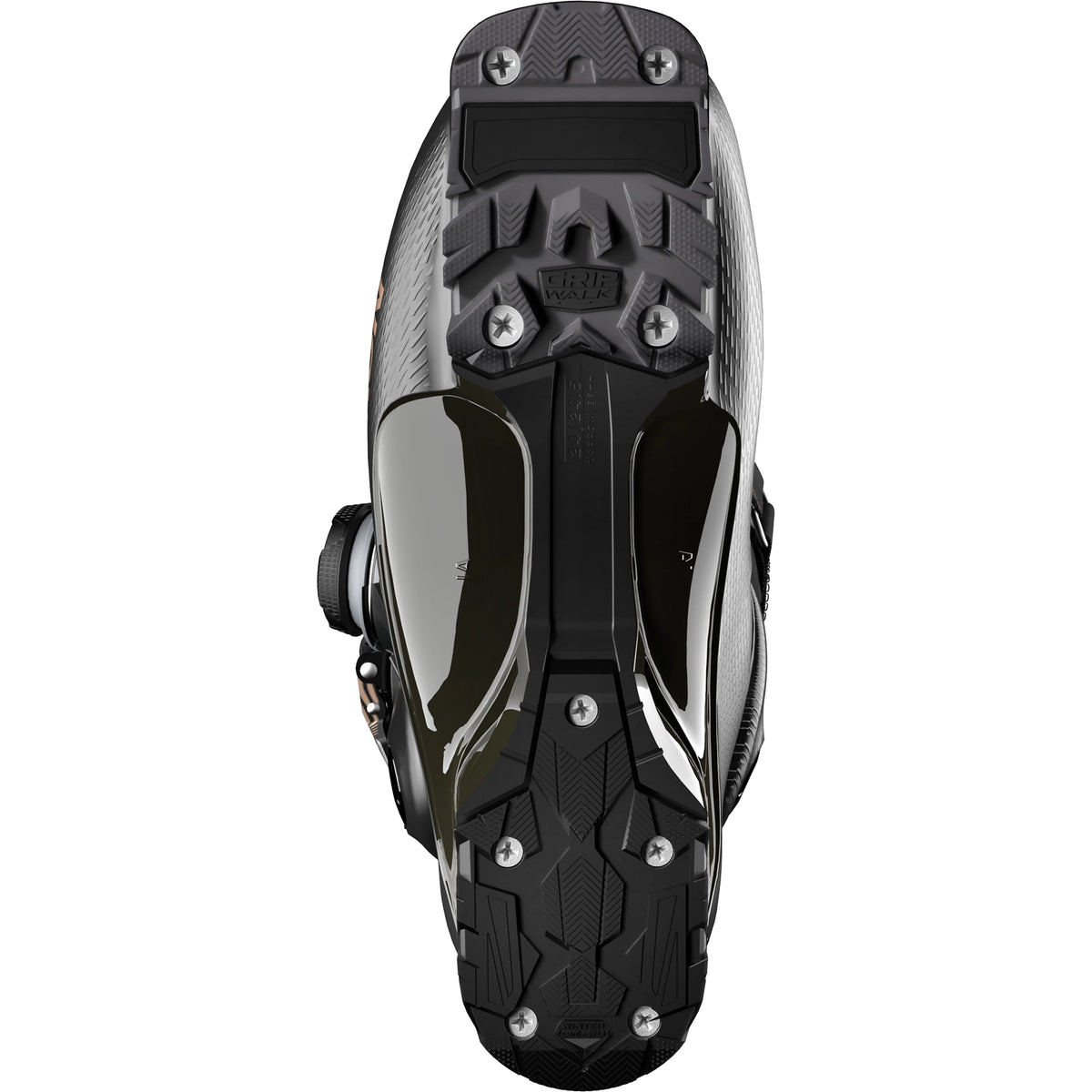 Salomon S/Pro Delta BOA 95 W