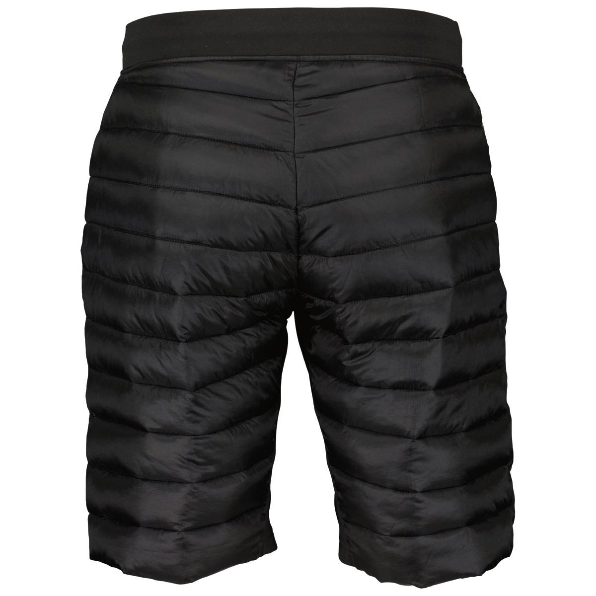 Scott Shorts Men's Insuloft Tech